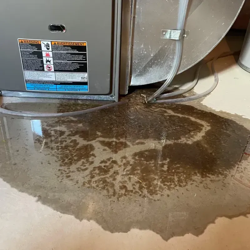 Appliance Leak Cleanup in Chubbuck, ID